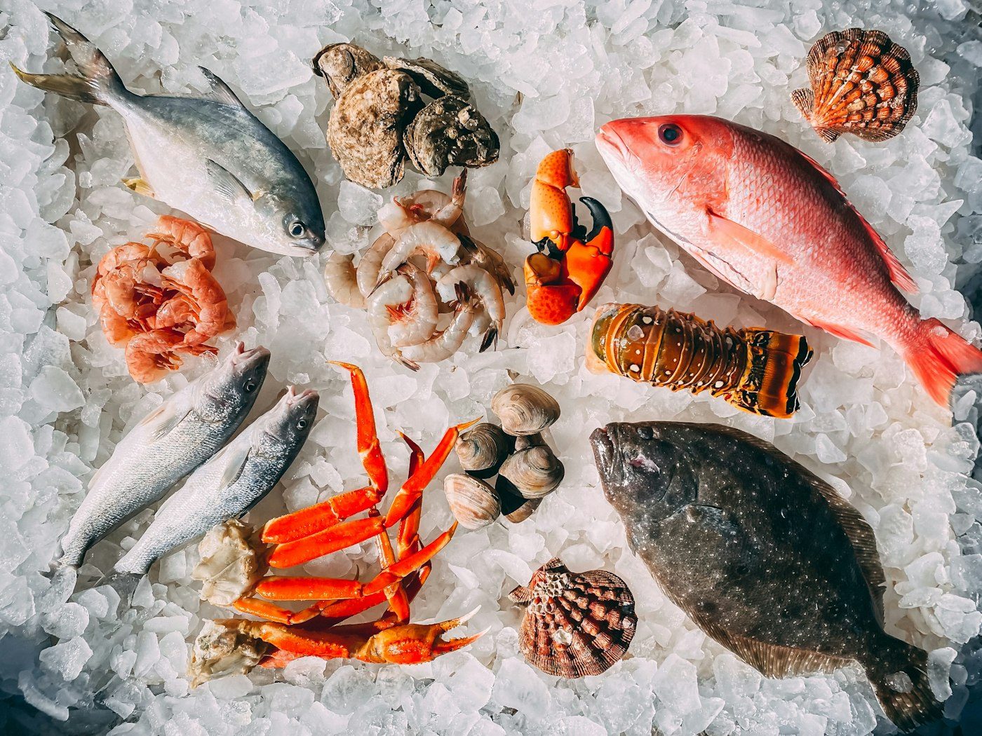 Sea Foods
