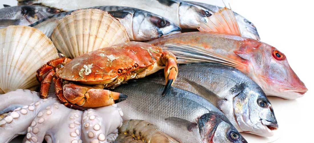 Prabir Group seafood and trade
